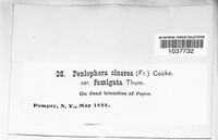 Image Associated With the Occurence